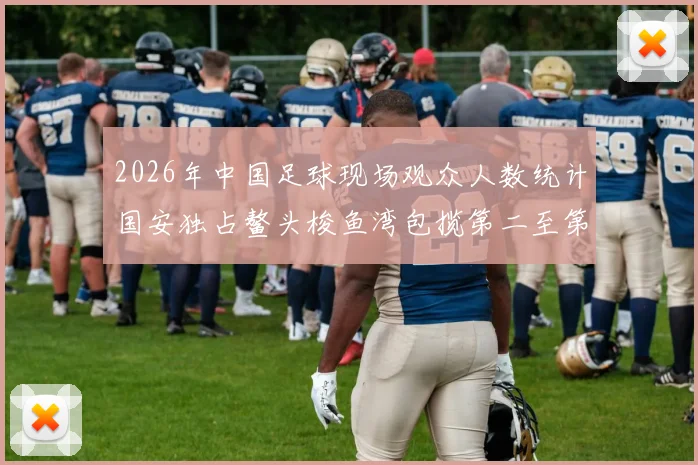2026年中国足球现场观众人数统计国安独占鳌头梭鱼湾包揽第二至第七位