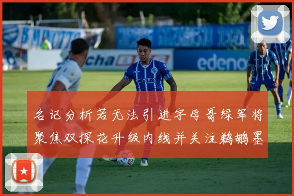 名记分析若无法引进字母哥绿军将聚焦双探花升级内线并关注鹈鹕墨菲