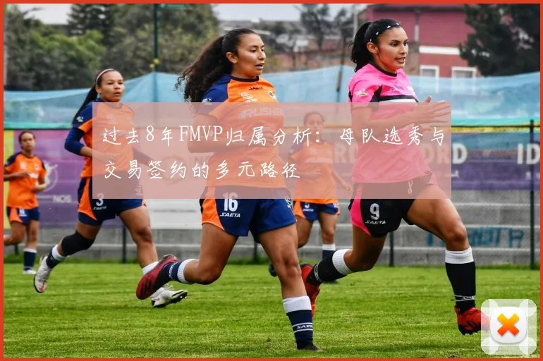 过去8年FMVP归属分析：母队选秀与交易签约的多元路径